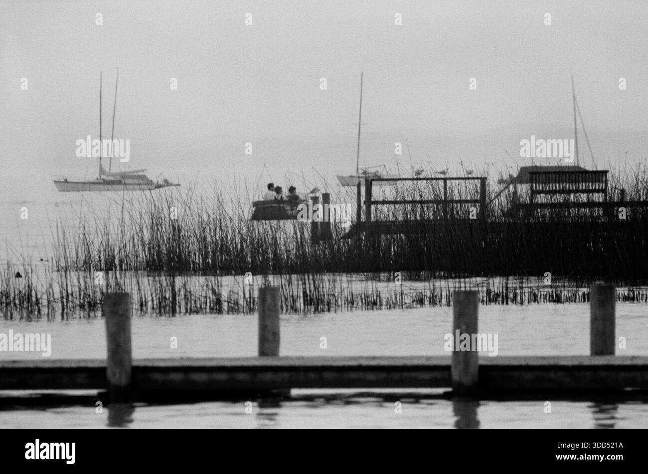 Sessanta, 11.09.1966, Germania, Baviera, alta Baviera, lago Starnberg, Starnberg, barche sull'acqua, clima mite, piogge e nebbia Foto Stock