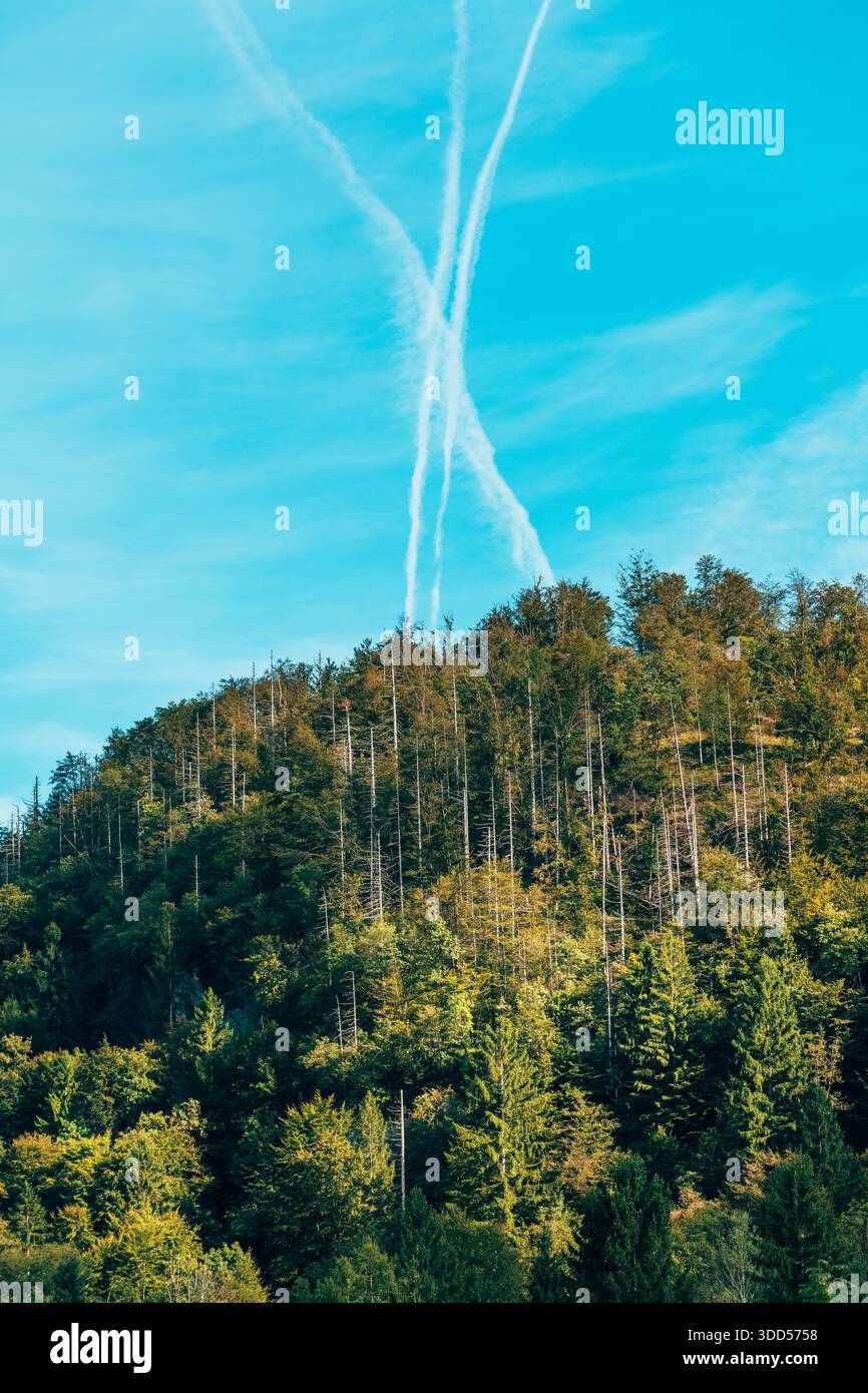 Attraversamento di piste a reazione che formano una X su boschi nel paesaggio alpino di montagna. Messa a fuoco selettiva. Foto Stock