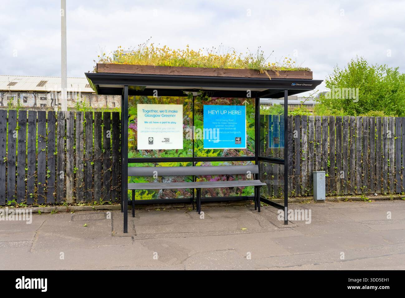 Un riparo per autobus Bee Biodiverse a Clear Channel Living Roof in collaborazione con The Wildlife Trust, Glasgow, Scozia, Regno Unito Foto Stock