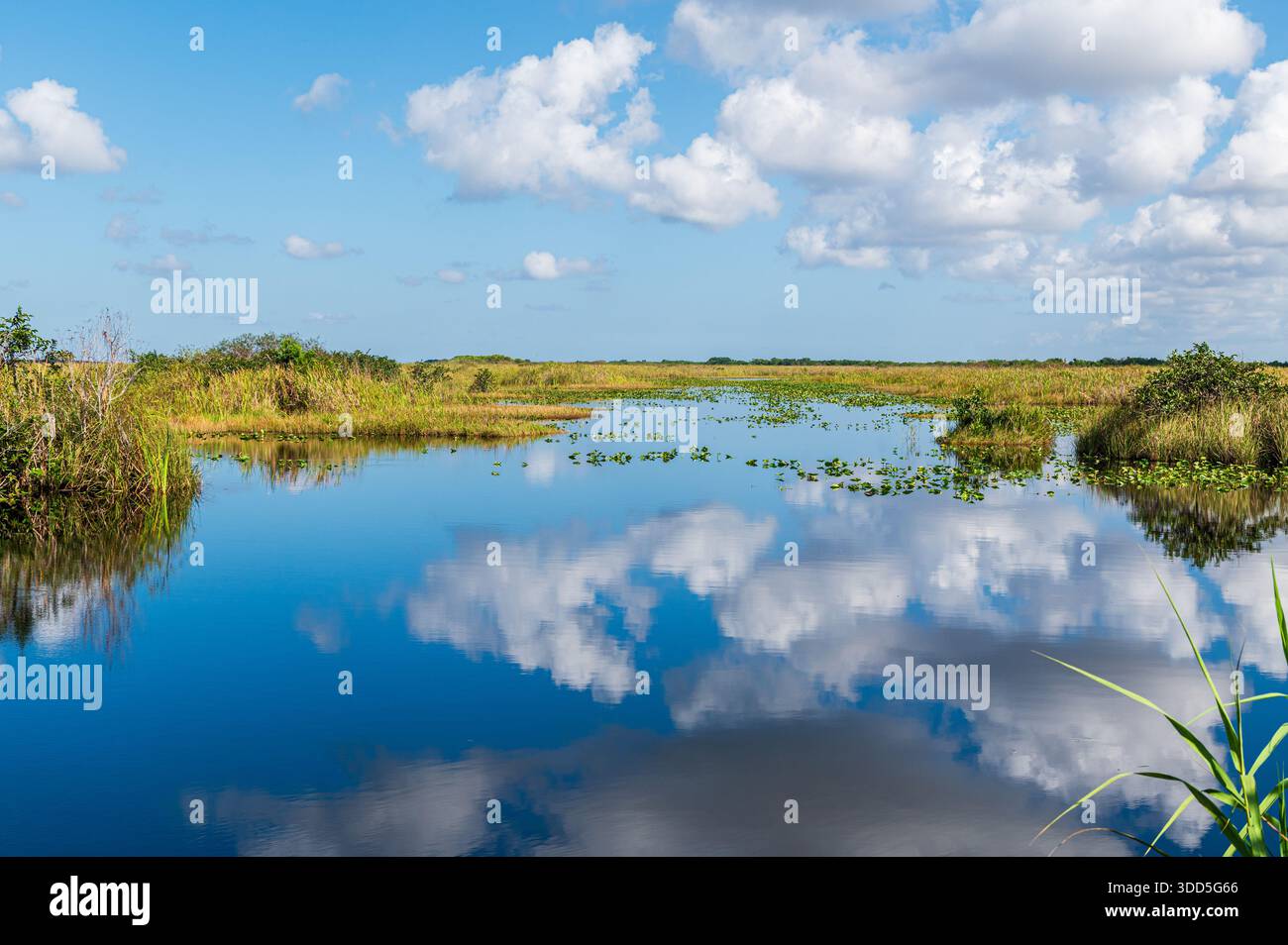 Splendido riflesso del cielo blu nelle acque poco profonde dell'Everglades National Park, Florida Foto Stock