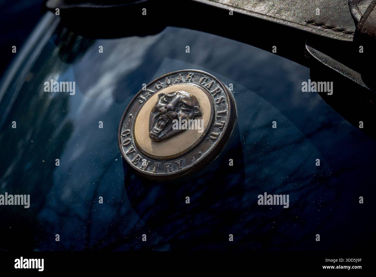Jaguar Cars Ltd Logo Coventry sul cofano. Foto Stock