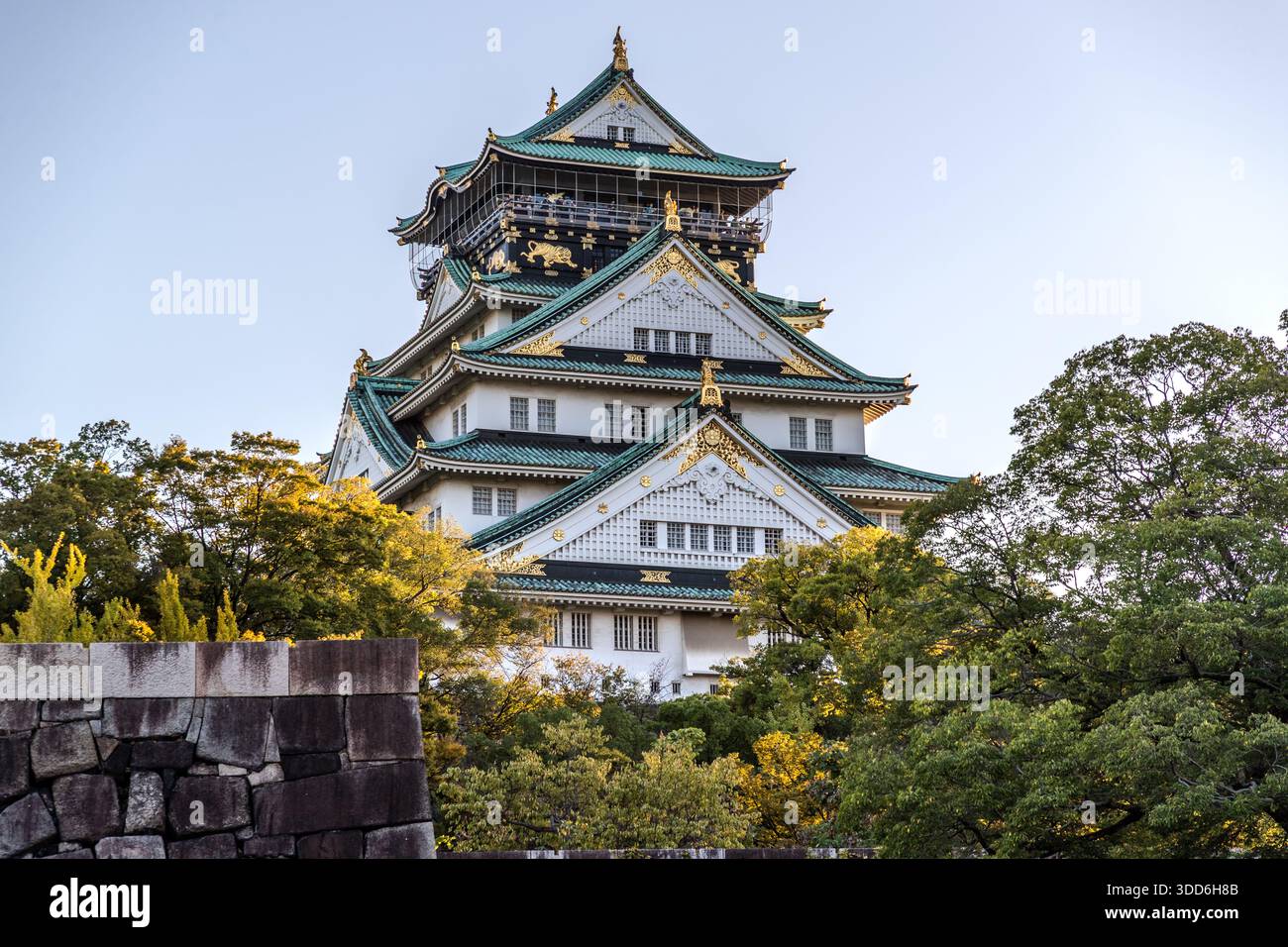 Il mastio principale del castello di Osaka si erge sopra gli alberi colorati dall'autunno e il muro di pietra storico della fortezza a Osaka, in Giappone. Toyotomi Hideyoshi fece costruire il castello nel 1583. Dopo diverse distruzioni, l'attuale mastio fu ricostruito in cemento armato nel 1931. Foto Stock