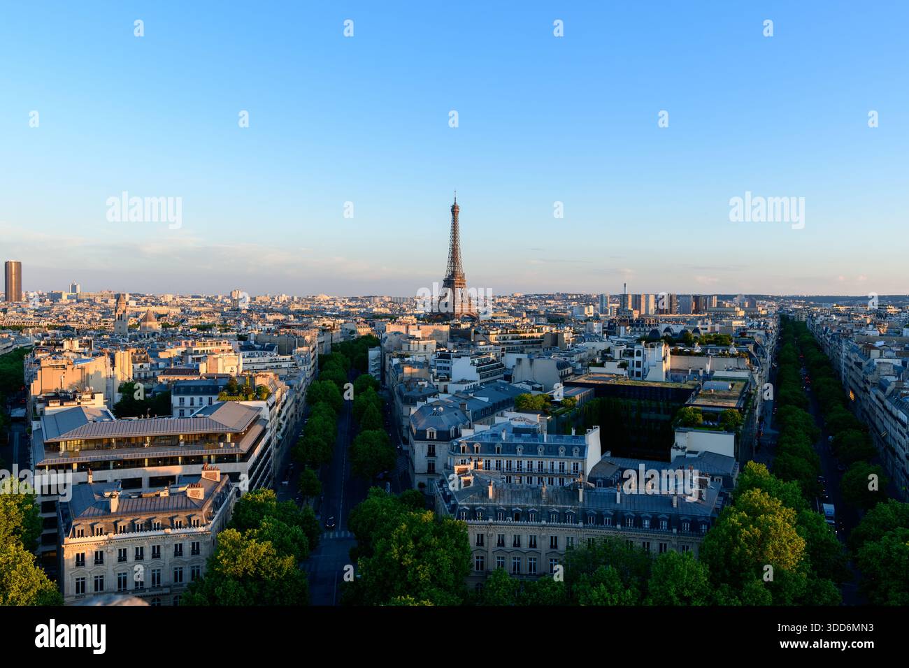 Vista panoramica sopraelevata della Torre Eiffel che si innalza sopra i classici tetti parigini e i viali alberati, immersa nella luce blu chiara della sera con una tranquilla atmosfera urbana. Foto Stock