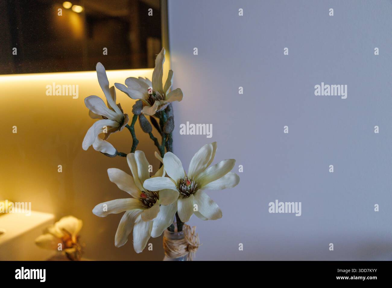 Una delicata disposizione dei fiori di magnolia in un vaso, inondata di luce soffusa e calda, crea un'atmosfera serena ed elegante. Foto Stock