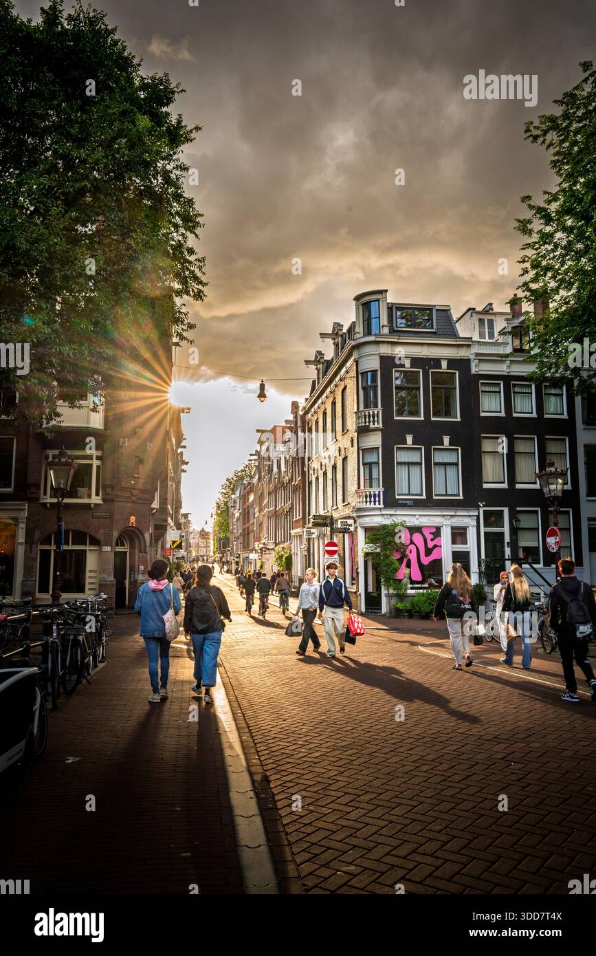 Sole in una strada a caso nella zona Jordaan di Amsterdam Foto Stock