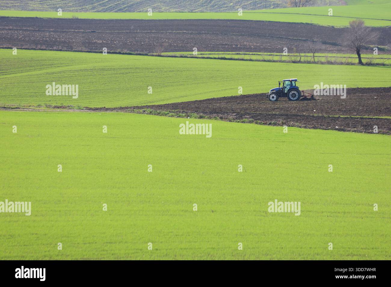 Aratura e aratura di trattori blu moderni terreno fertile scuro in un vasto campo agricolo verde a Cukurova, Turchia Foto Stock