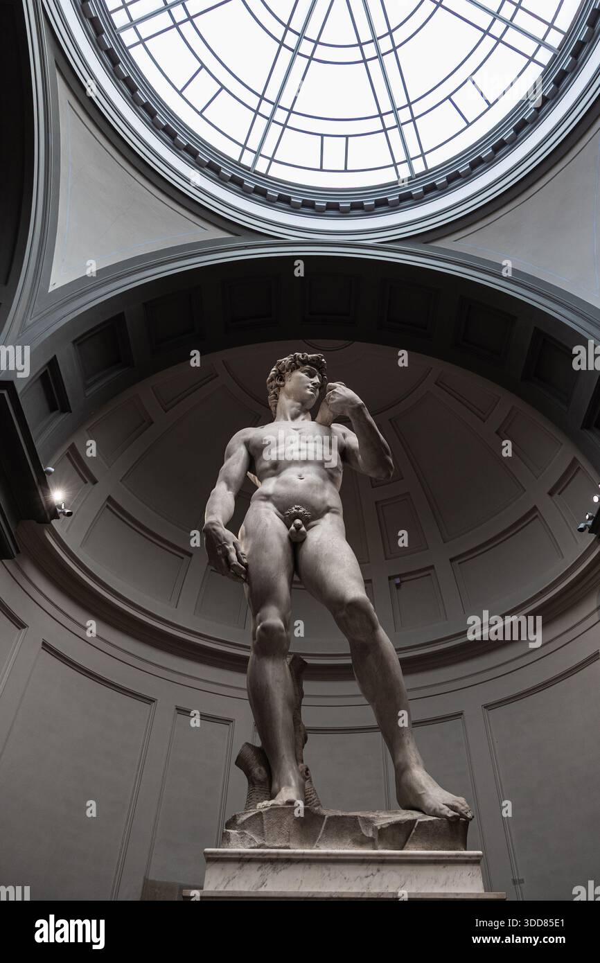 Una suggestiva fotografia a basso angolo del David di Michelangelo all'interno della Galleria dell'Accademia di Firenze Foto Stock
