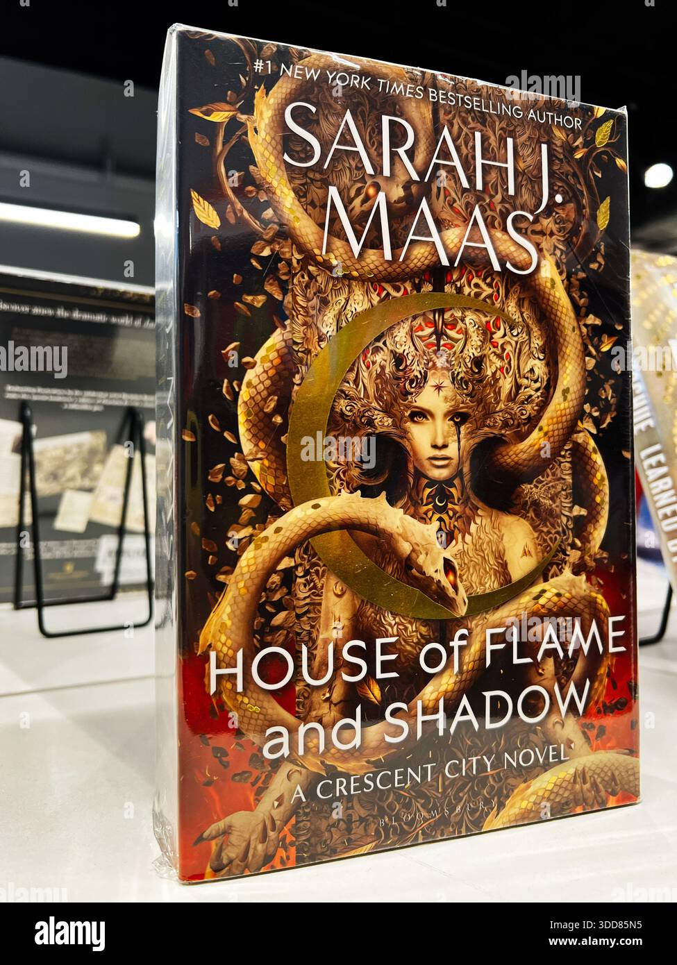 Londra, Regno Unito - 12 dicembre 2025: Copertina di Fantasy Novel con un drago serpentino e una figura coronata circondata da fiamme. Casa della fiamma e Shado Foto Stock