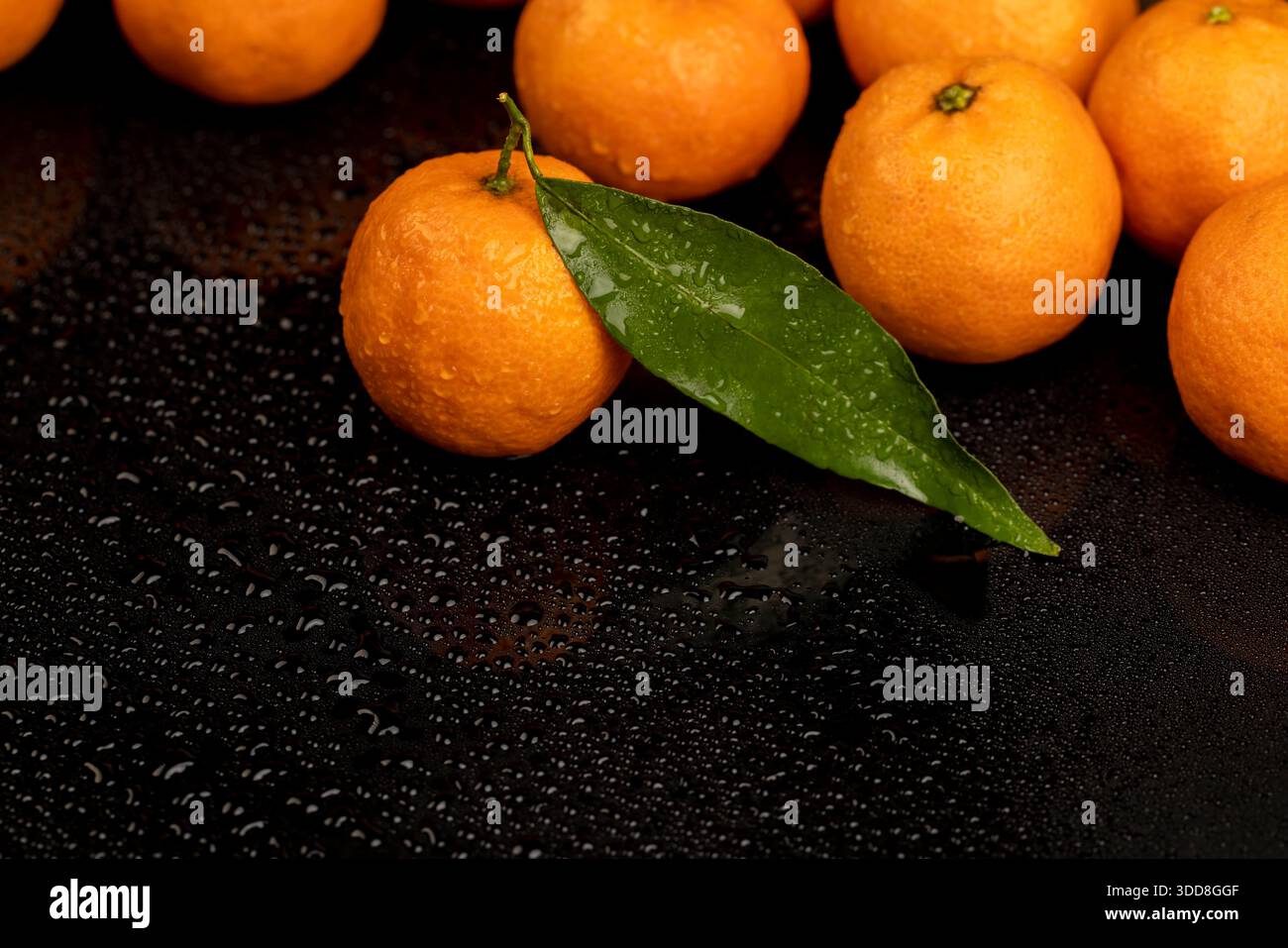 i mandarini di arancia fresca bagnati con foglie verdi si riflettono su uno specchio nero , un gruppo di mandarini dolci maturi con foglie verdi ricoperte di gocce Foto Stock
