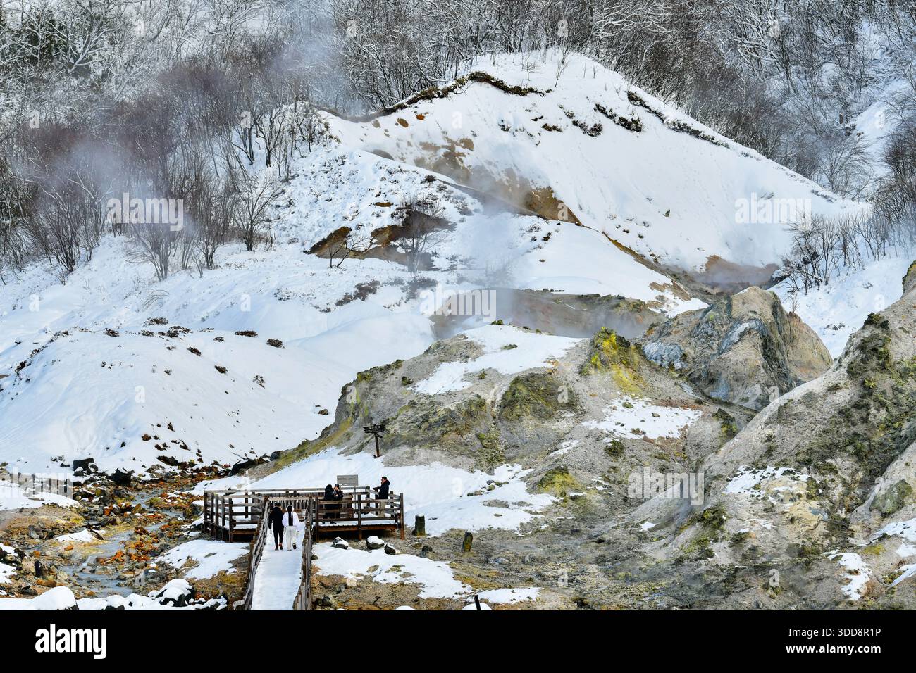 Vista panoramica del vulcano Jigokudani Hell Valley in inverno, di Noboribetsu e Hokkaido Foto Stock