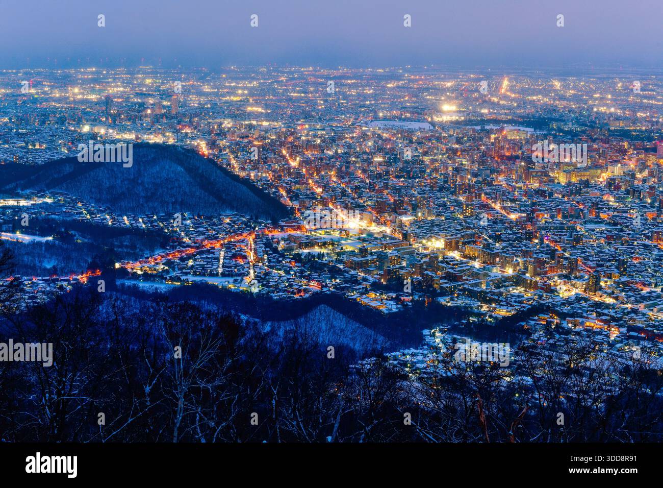Vista notturna del paesaggio urbano di Sapporo in inverno al crepuscolo dal Monte Osservazione di Moiwa, il miglior punto panoramico della città, Sapporo, Hokkaido, Giappone Foto Stock