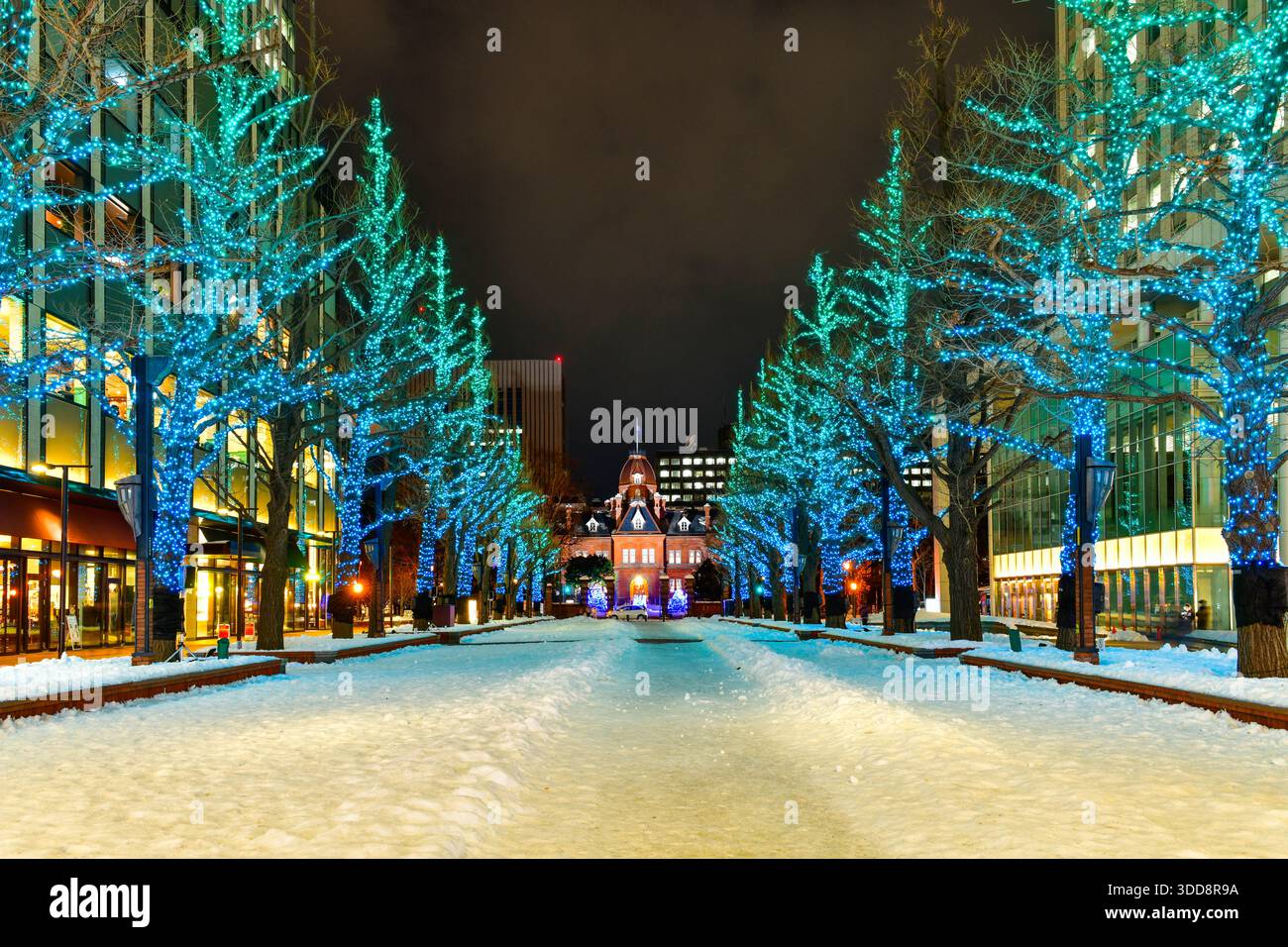 Vista notturna dell'illuminazione degli uffici governativi di Hokkaido illuminata con la neve in inverno a Sapporo, Hokkaido, Giappone. Foto Stock