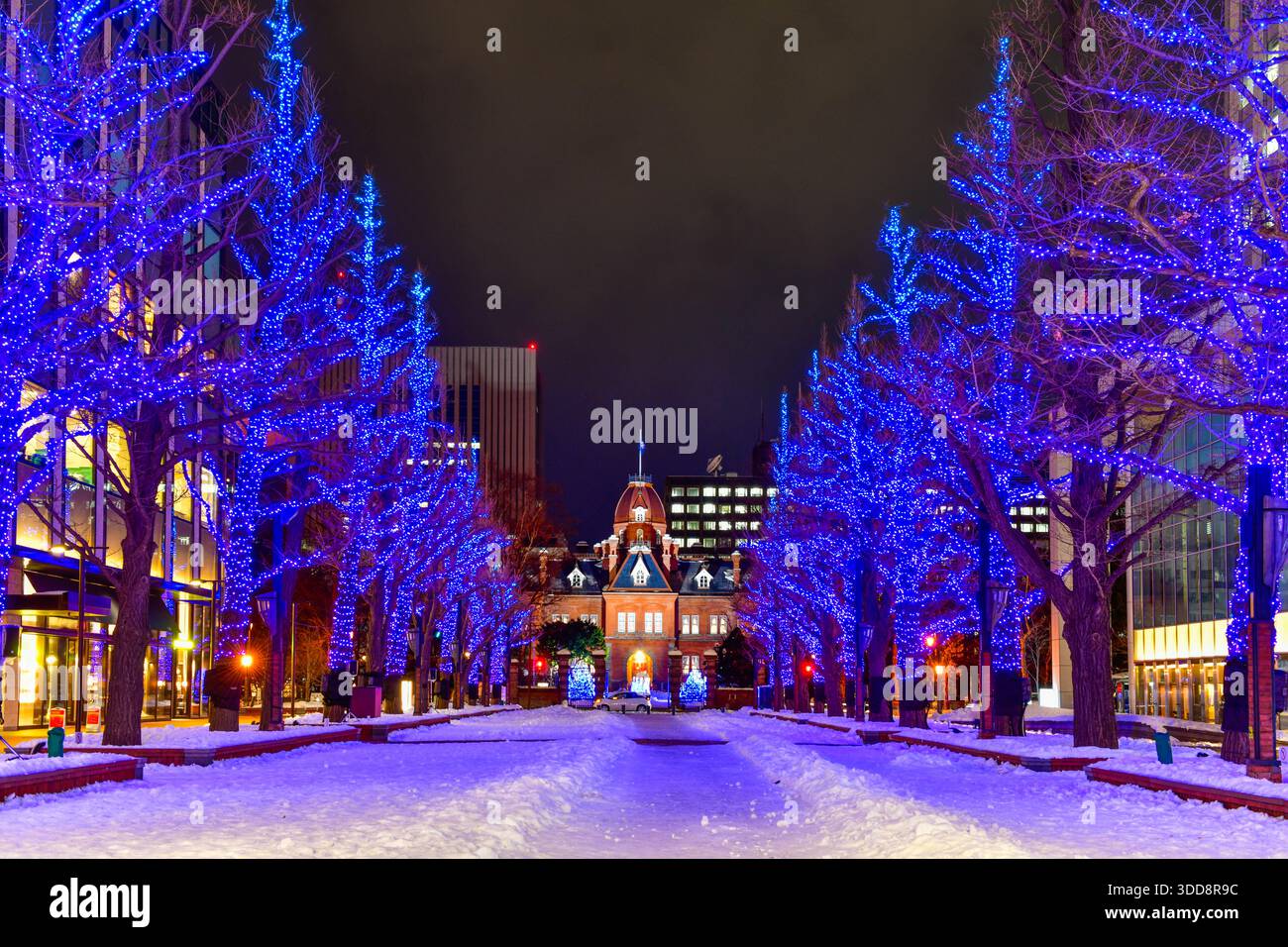 Vista notturna dell'illuminazione degli uffici governativi di Hokkaido illuminata con la neve in inverno a Sapporo, Hokkaido, Giappone. Foto Stock