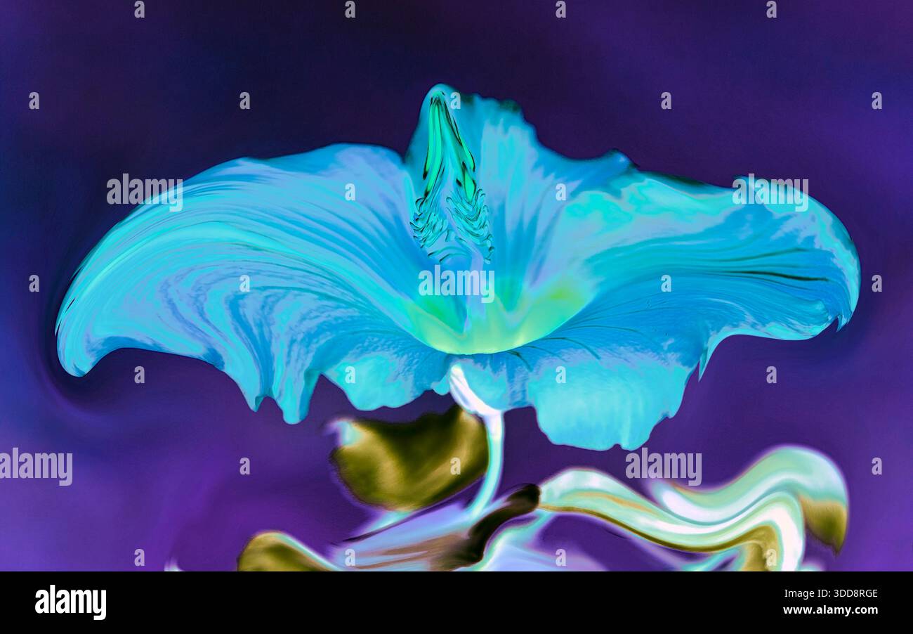 Vivace arte astratta con fiori blu neon con sfondo viola e petali curvi Foto Stock