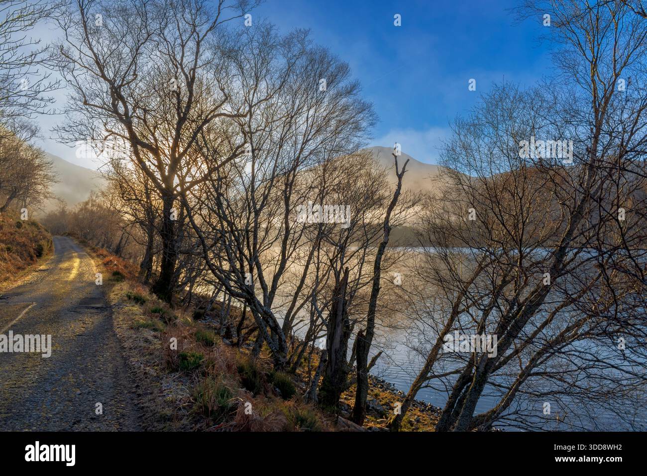 Loch Clair Kinlochewe Scotland Road oltre il lago con nebbia invernale mattutina Foto Stock