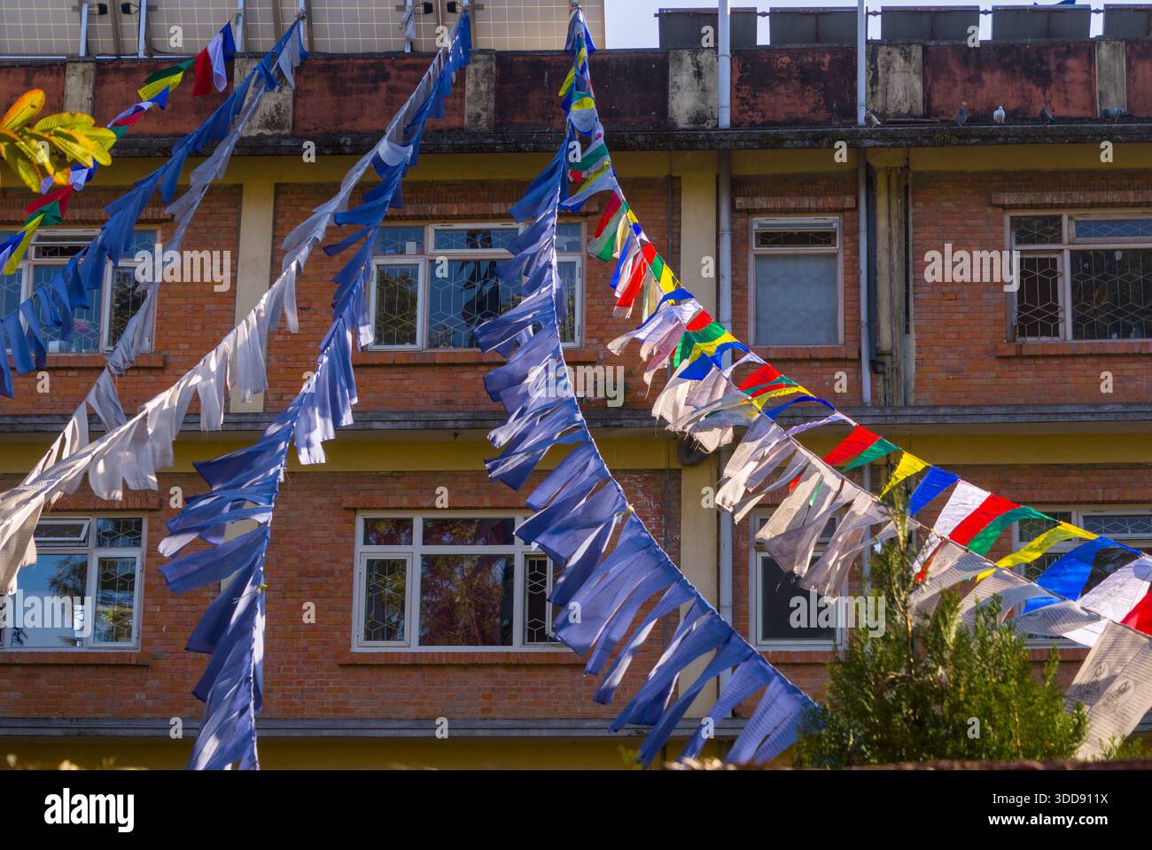 Le bandiere di preghiera sono appese di fronte alla facciata di un edificio, aggiungendo un colore spirituale al paesaggio urbano quotidiano in Nepal. Foto Stock