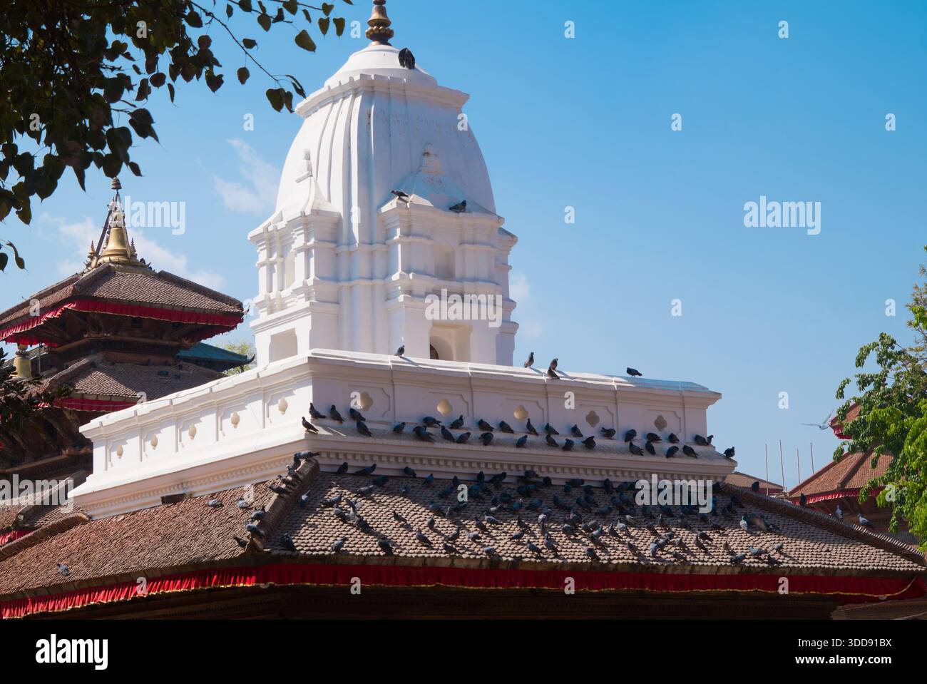 Tempio bianco con piccioni arroccati sul tetto sotto un cielo luminoso e soleggiato. Foto Stock