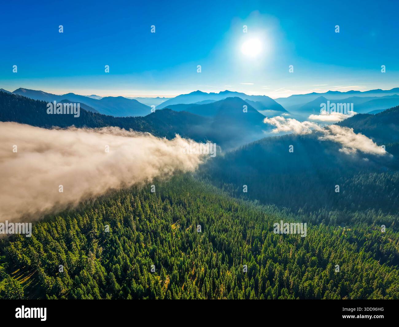 Una splendida vista aerea panoramica che mostra l'ampio monte Baker-Snoqualmie National Forest, con i suoi lussureggianti paesaggi illuminati sotto un cielo di sole Foto Stock
