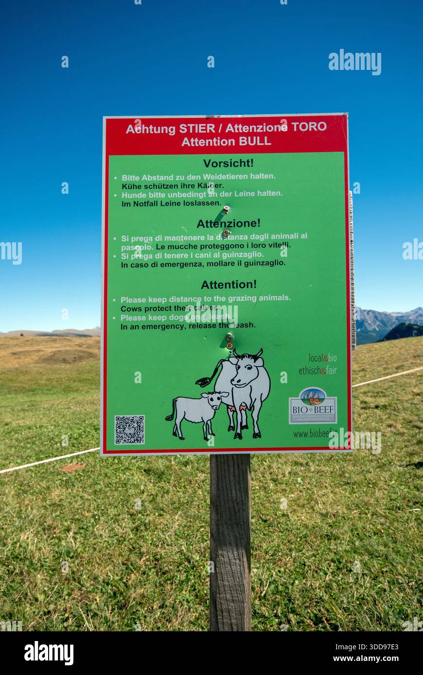 Cartello segnaletico per il pascolo del bestiame nell'Alpe di Siusi, Castelrotto (Castelrotto), Trentino alto Adige, Italia Foto Stock