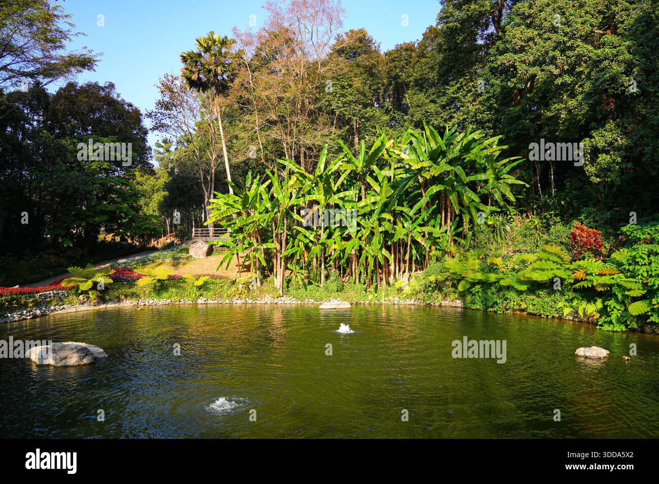 Giardino Mae Fah Luang con vibranti terrazze floreali a Doi Tung vicino a Chiang Rai, nel nord della Thailandia Foto Stock