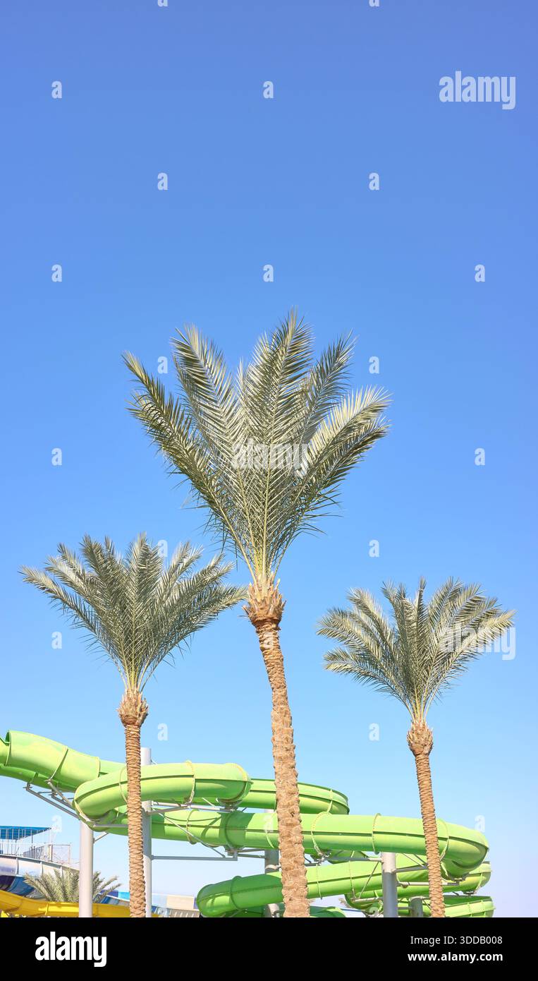 Un parco acquatico all'aperto con palme e cielo blu, Egitto. Foto Stock