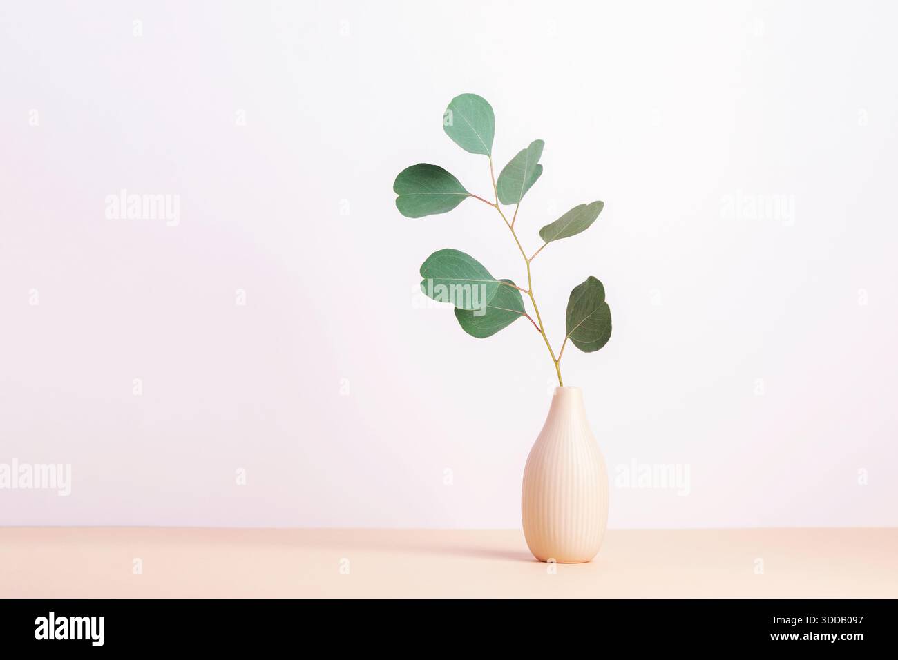 Ramo di eucalipto in vaso di ceramica su tavola beige. Dettagli minimi per gli interni della casa, natura morta. Copia spazio. Foto Stock