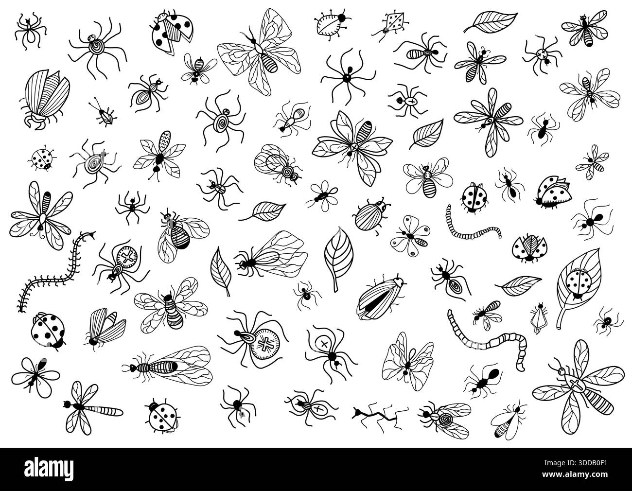Gli insetti impostano il vettore disegnato a mano con un contorno isolato su bianco. Farfalla vettoriale, ape, drago, cavalletta, scarafaggi, beetle. Illustrazione Vettoriale