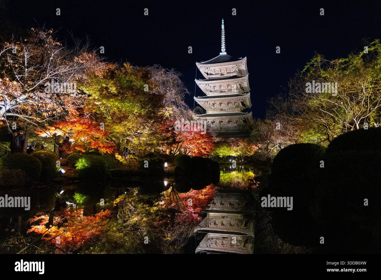Pagoda a cinque piani e giardino con laghetto durante le illuminazioni notturne al Tempio To-ji, Kyoto, Giappone Foto Stock