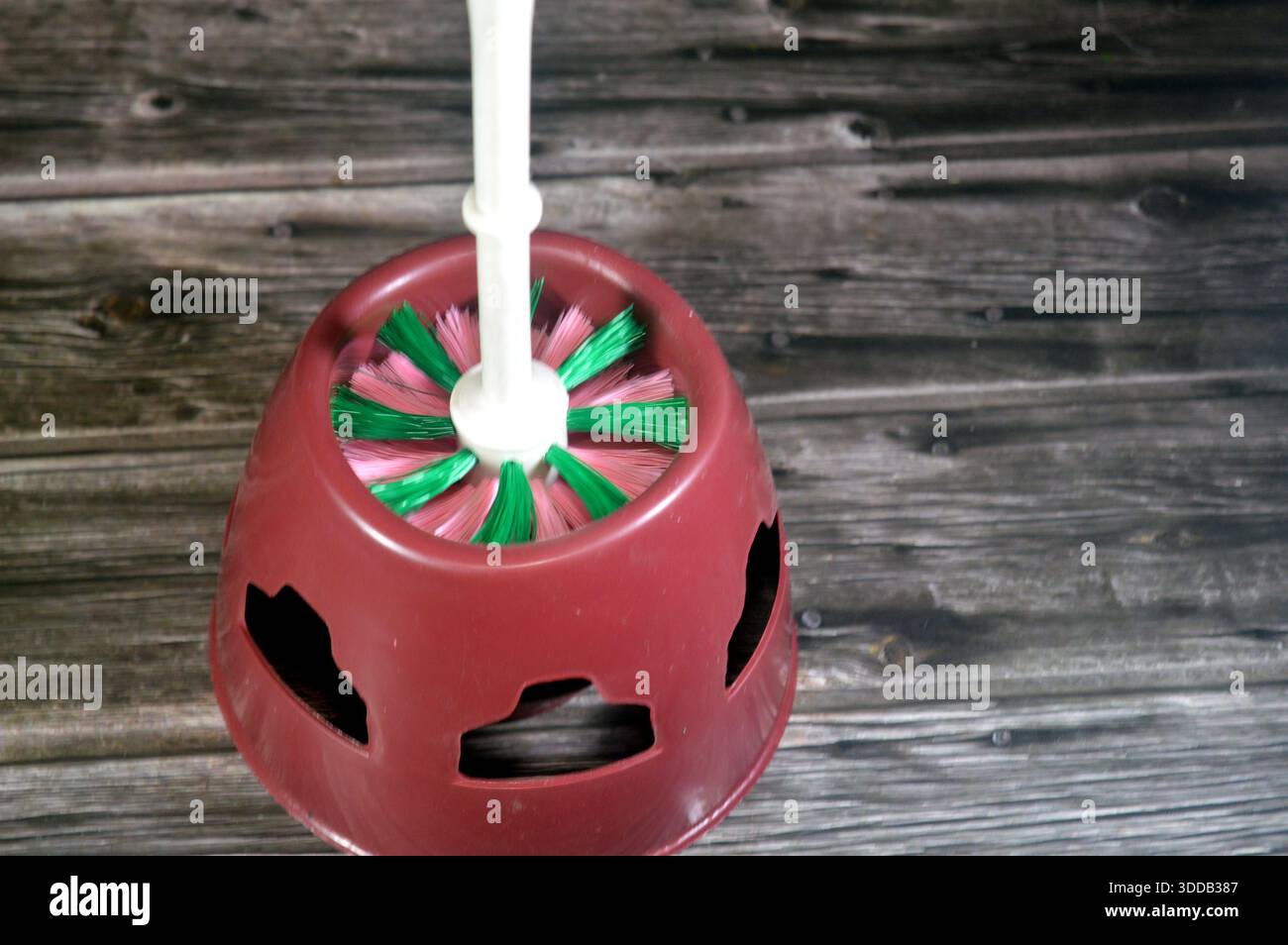 Spazzolino in plastica con supporto, un comune accessorio essenziale per il bagno, progettato per la pulizia di toilette e, a volte, lavandini e vasche da bagno, lo spazzolino Foto Stock