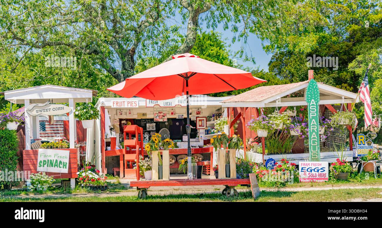 La colorata fattoria Amagansett si erge in una giornata estiva Foto Stock