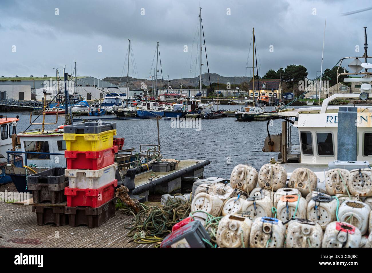Vasi di aragosta e granchio impilati sulla banchina di lavoro di Arklow, con pescherecci da traino e yacht attraverso il porto interno. Foto Stock