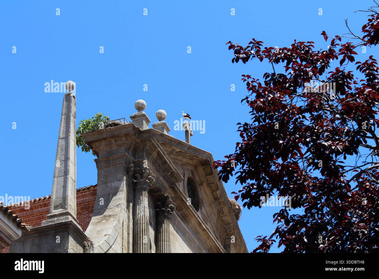 Facciata della chiesa con nidi di uccelli - Alcala de Henares, patrimonio mondiale dell'UNESCO nel luglio 2024 Foto Stock