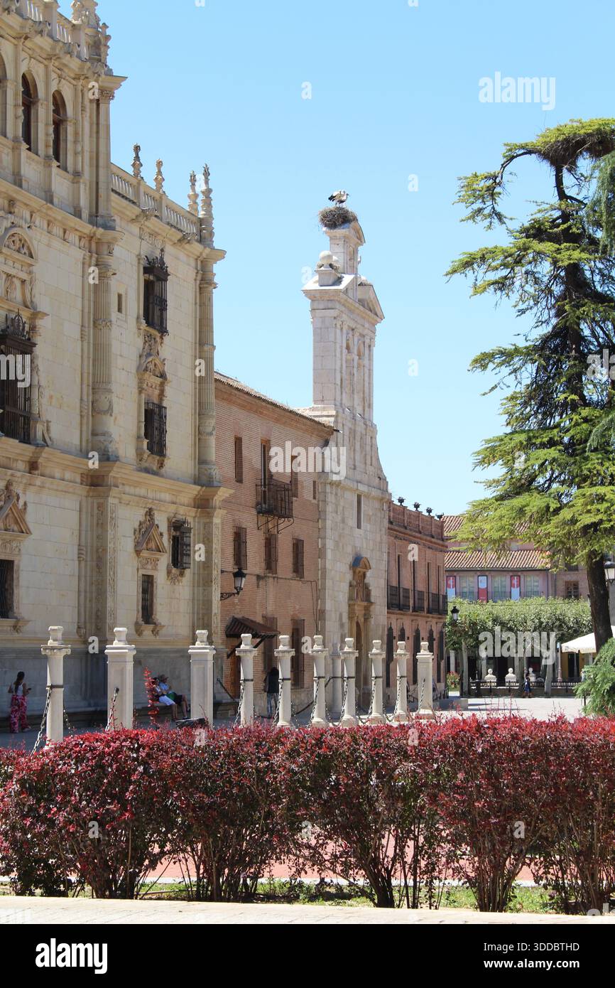 Facciata della chiesa con nidi di uccelli - Alcala de Henares, patrimonio mondiale dell'UNESCO nel luglio 2024 Foto Stock