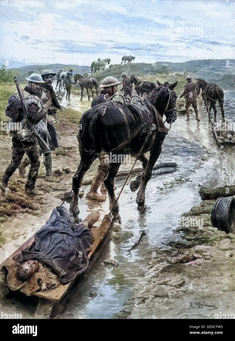 Cavallo che rimuoveva feriti, prima guerra mondiale, 1918 Foto Stock
