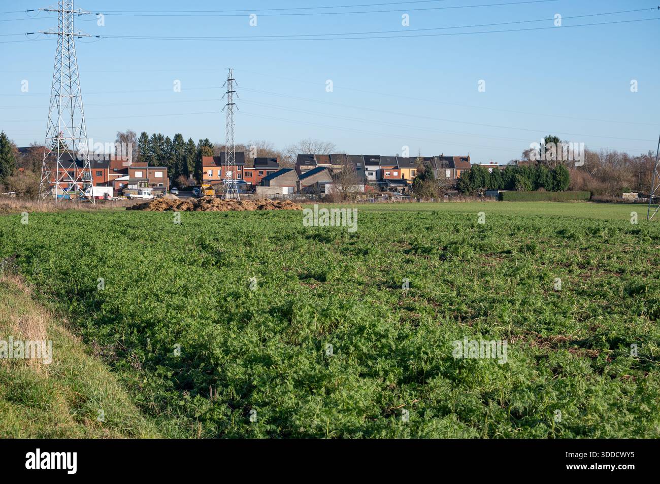 Vista di una strada asfaltata ristrutturata ad ANS, Belgio, caratterizzata da linee elettriche ad alta tensione, cavi telefonici, un campo coltivato in primo piano, Foto Stock