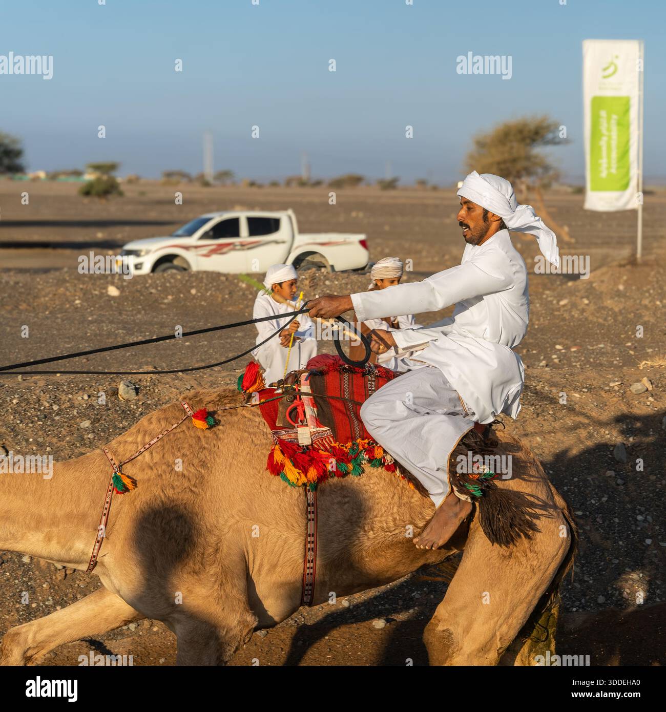 Corse di cammelli in Oman: royal Cup e corse nel deserto attraverso Barka e Adam Foto Stock