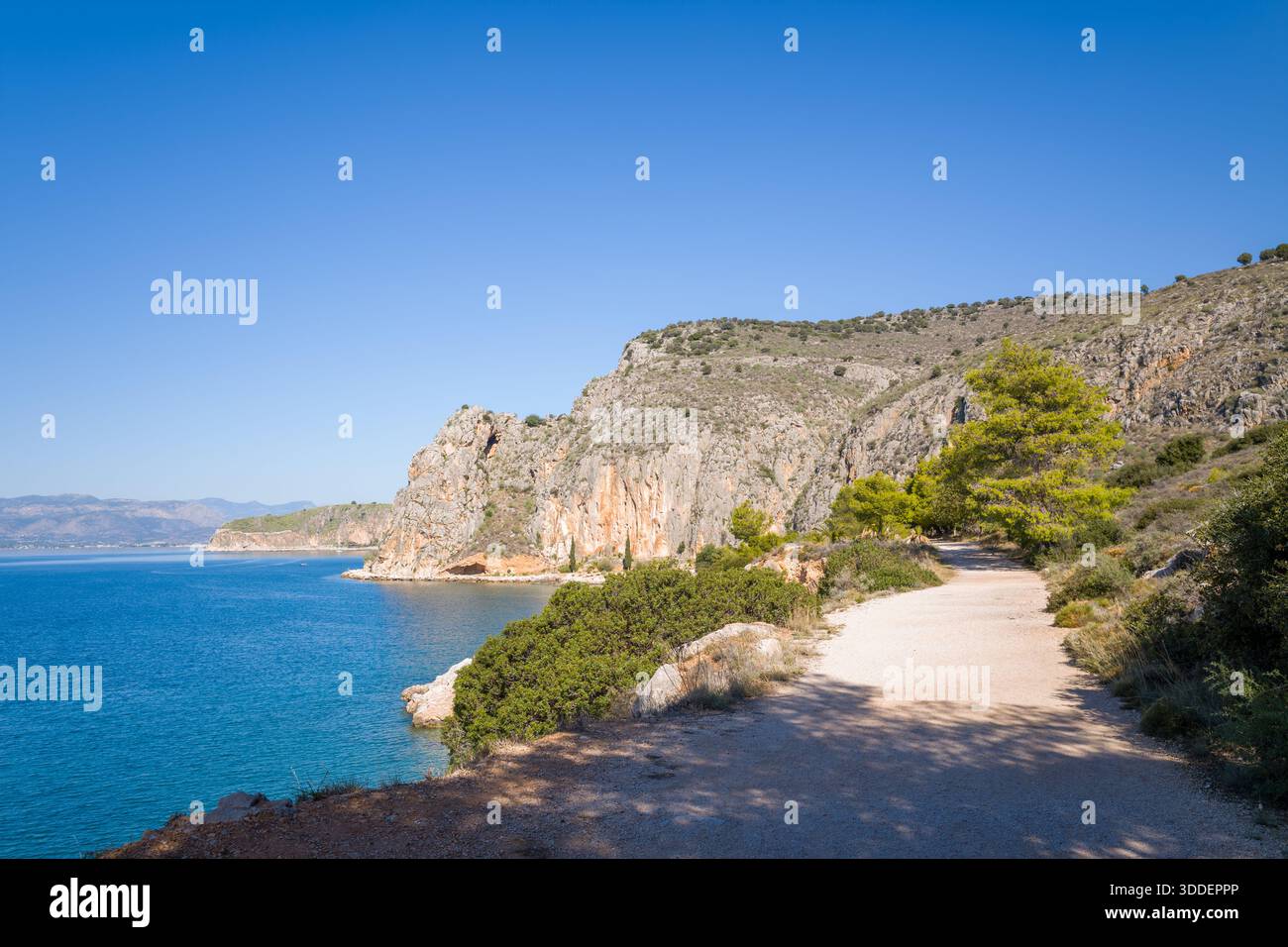 Tortuoso sentiero costiero delimitato da aspre scogliere e vibranti pini verdi, che si affaccia sulle acque turchesi sotto un cielo blu senza nuvole. La tranquilla scena mediterranea presenta superfici rocciose e spazi naturali aperti. Foto Stock