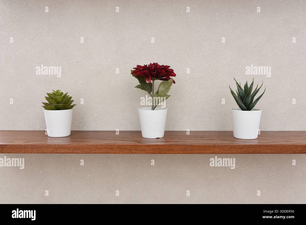 vasi con fiori artificiali esposti su uno scaffale Foto Stock