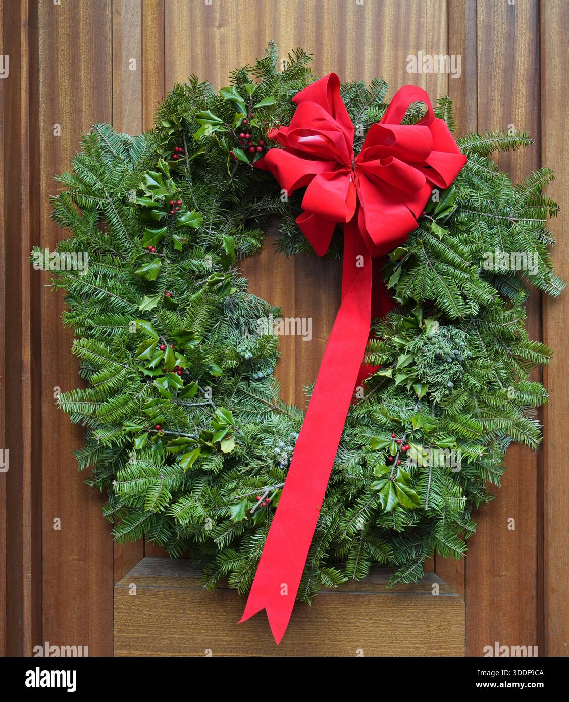 Corona di Natale decorativa fatta di rami sempreverdi naturali su porta in legno Foto Stock