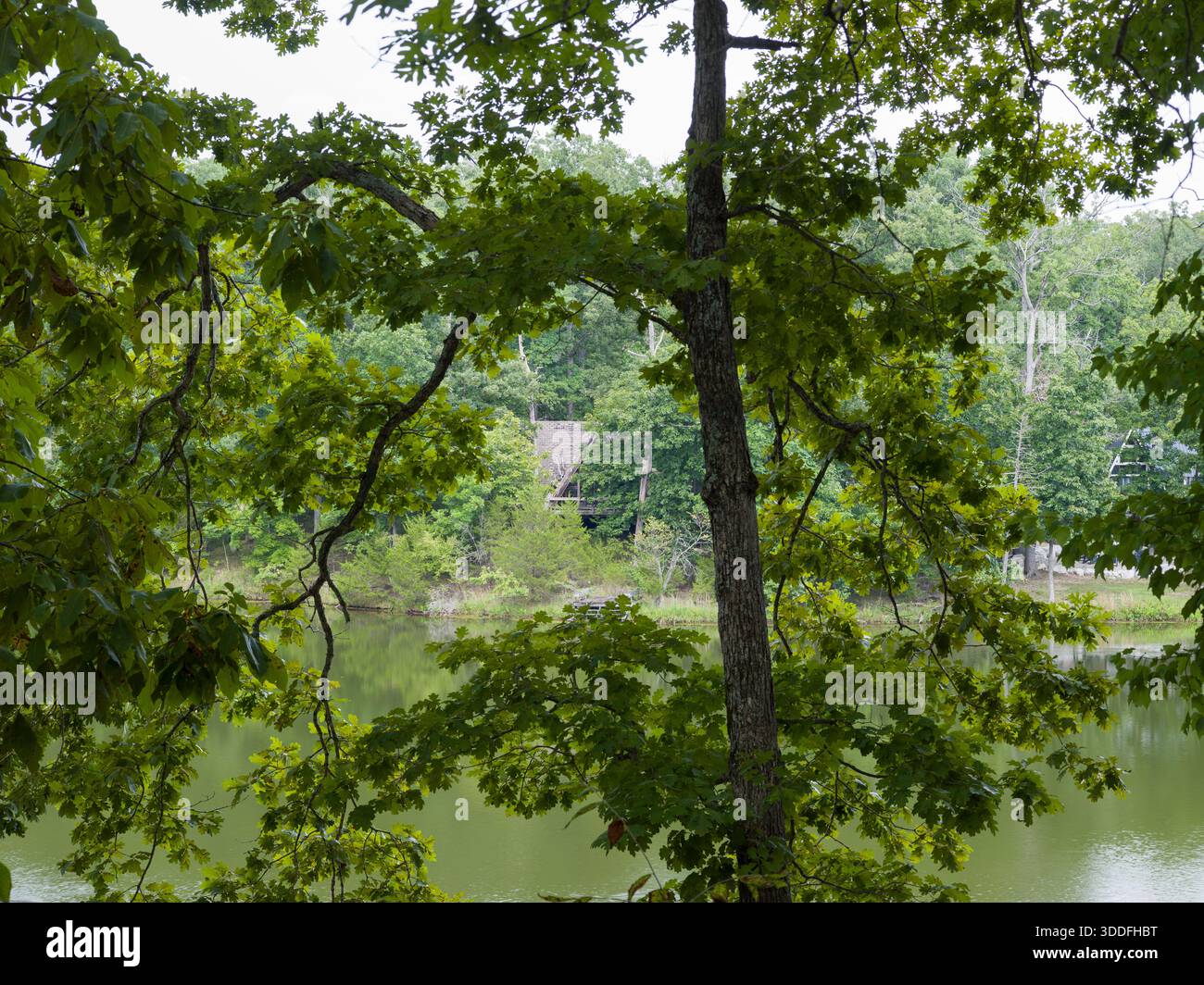 Innsbrook, posizione: Innsbrook, Missouri Foto Stock