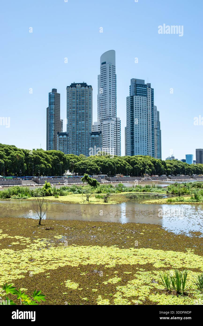 La riserva ecologica di Buenos Aires si trova di fronte ad alti edifici moderni Foto Stock