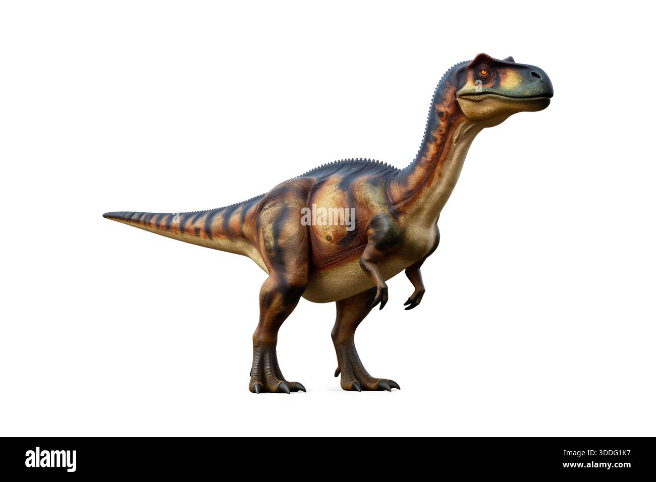 Feroci dinosauri carnivori isolati su sfondo bianco, che mostrano texture dettagliate e pose minacciose di predatori preistorici. Foto Stock