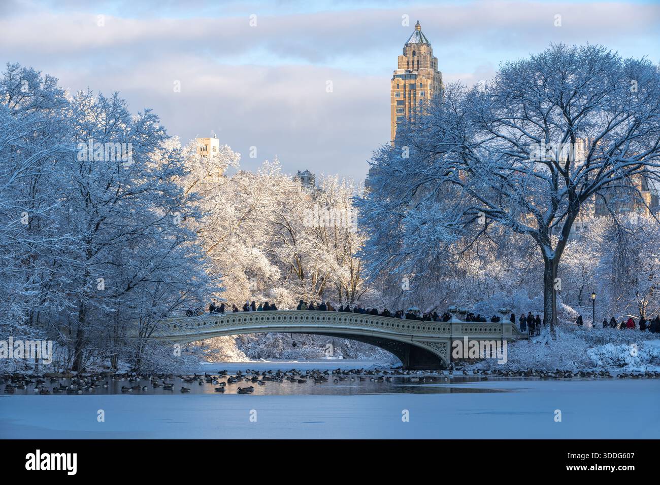 Scena invernale di New York City a Central Park, Manhattan, con Bow Bridge sul lago ghiacciato e alberi innevati Foto Stock