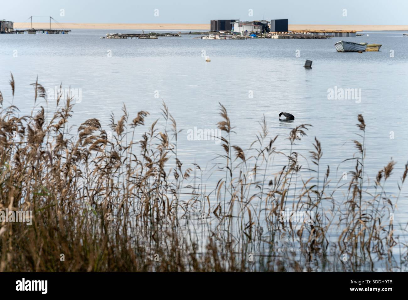 Sesimbra Portogallo dicembre 25 2025. Calme acque lagunari con piccole imbarcazioni piattaforme di pesca e canne vicino alla riva Foto Stock