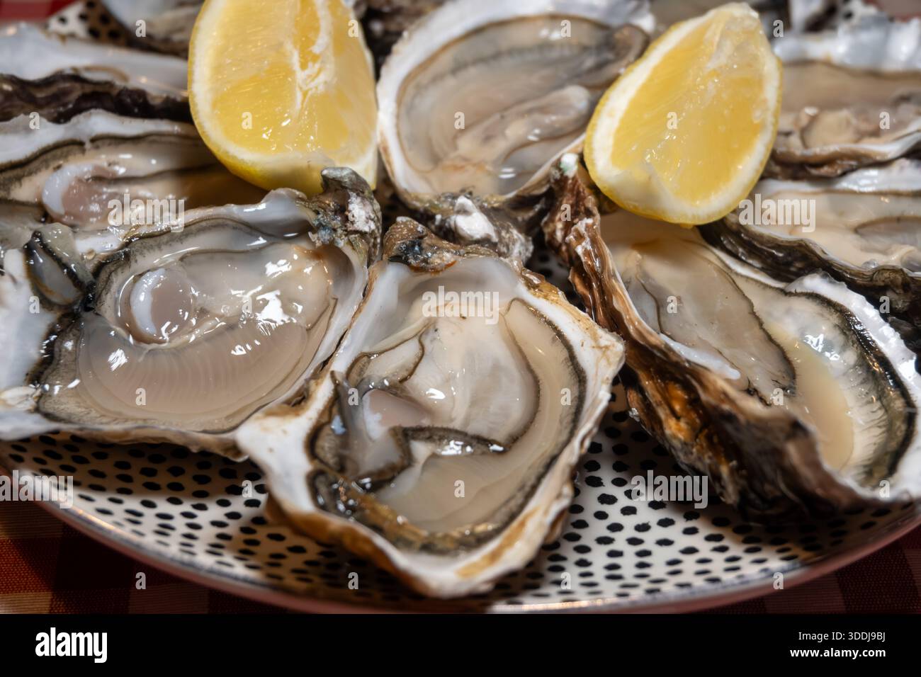 Ostriche fresche sul mercato francese settimanale, cibo di strada, porzione di ostriche aperte con limone, pesce, Francia, primo piano Foto Stock
