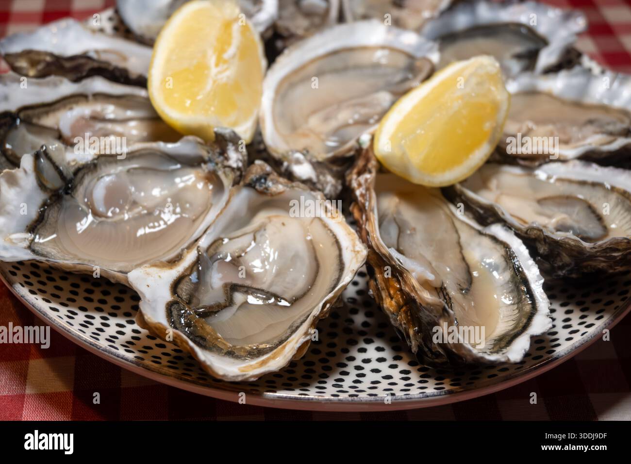Ostriche fresche sul mercato francese settimanale, cibo di strada, porzione di ostriche aperte con limone, pesce, Francia, primo piano Foto Stock