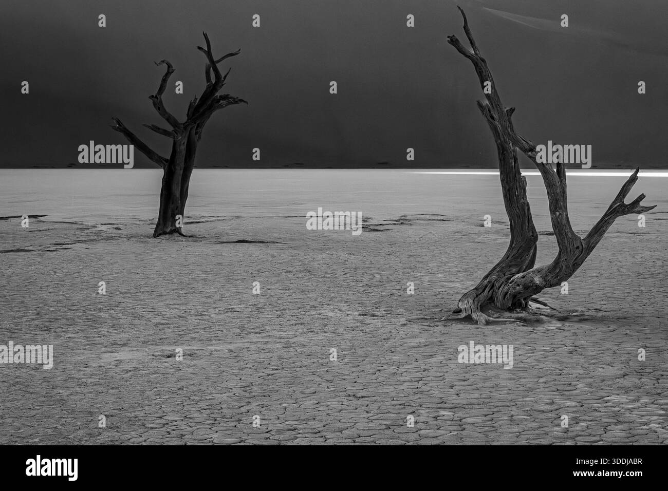 La Namibia è piena di paesaggi e persone incredibili. Foto Stock