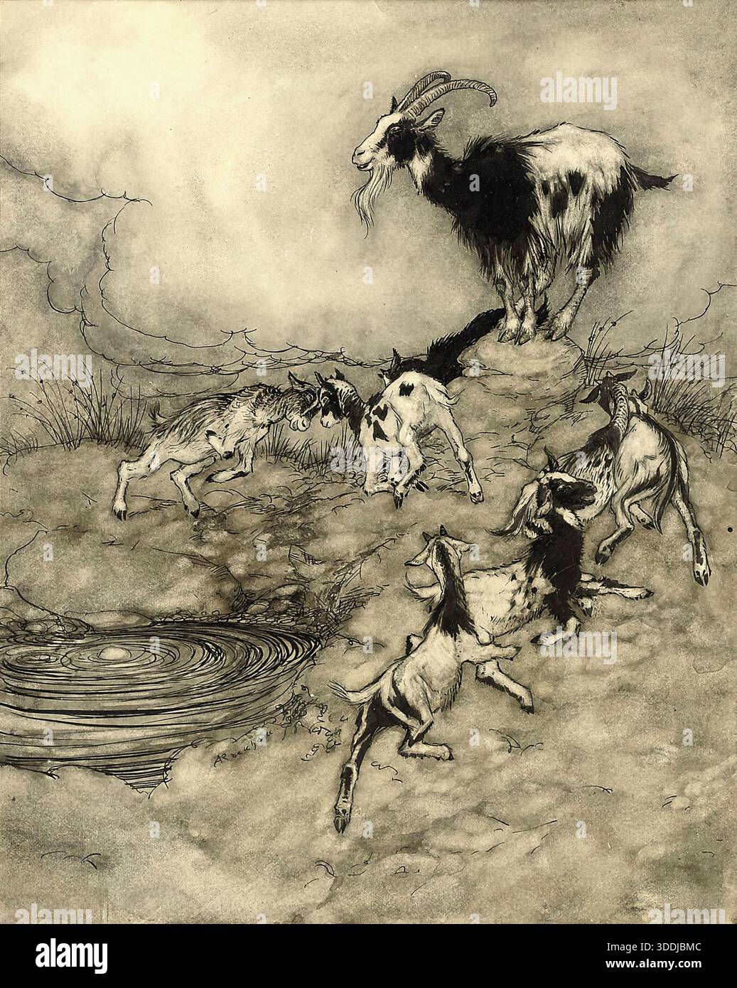 Arthur Rackham - da The Fairy Tales of the Brothers Grimm - The Wolf and the Seven Little Kids Foto Stock