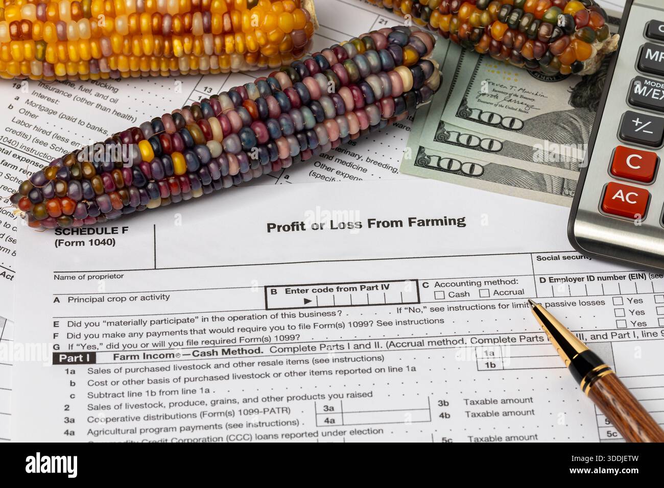 Granturco indiano o pietra focaia e modulo di imposta sulle aziende agricole. Reddito, finanze e concetto di gestione della coltivazione ornamentale del mais. Foto Stock