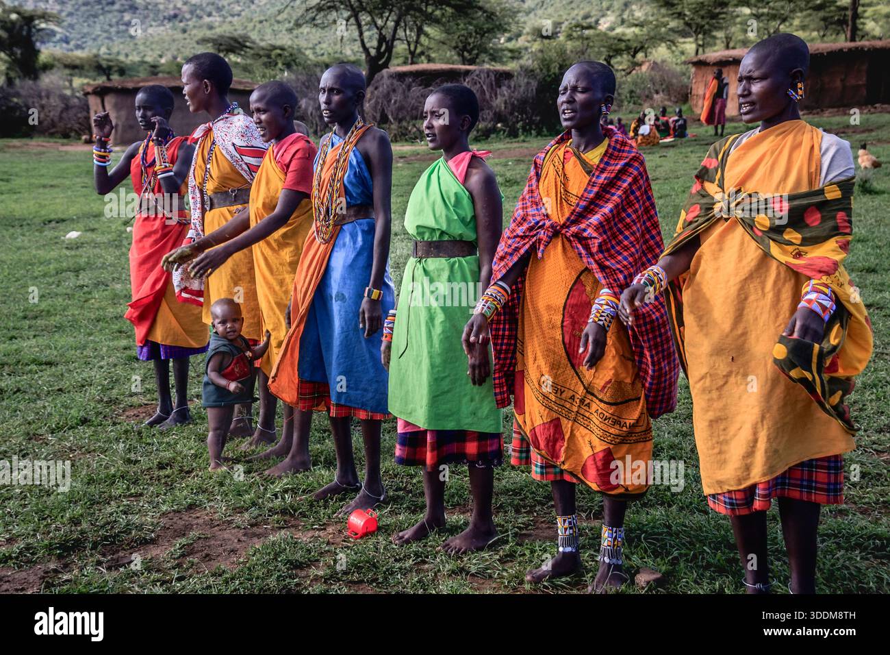 Colorate donne Maasai del Kenya cantano e ballano canzoni tradizionali vicino al Mara. Foto Stock
